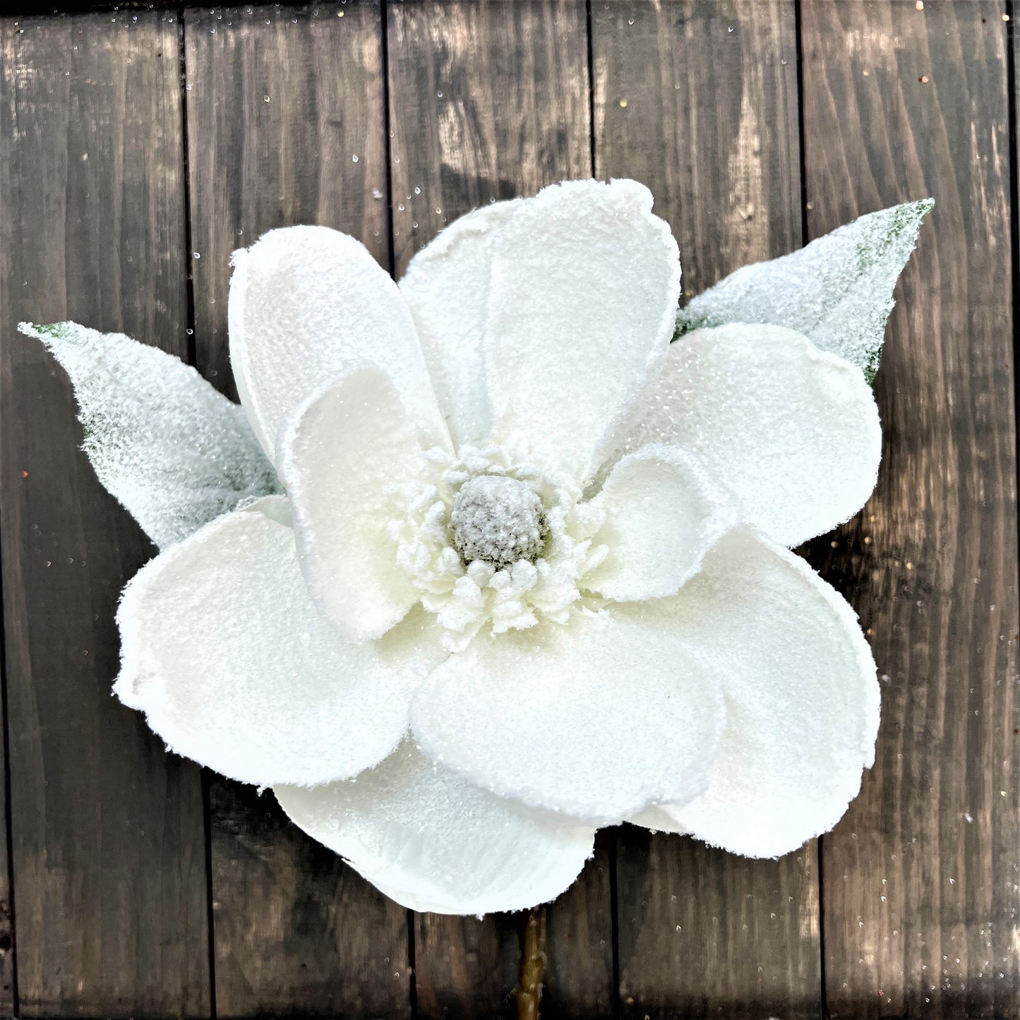Frosted Magnolia Stem, 29" Frosted Magnolia, XL Magnolia Stem, Winter Magnolia Stem, Wedding Magnolia Stem, Frosted Floral Stem