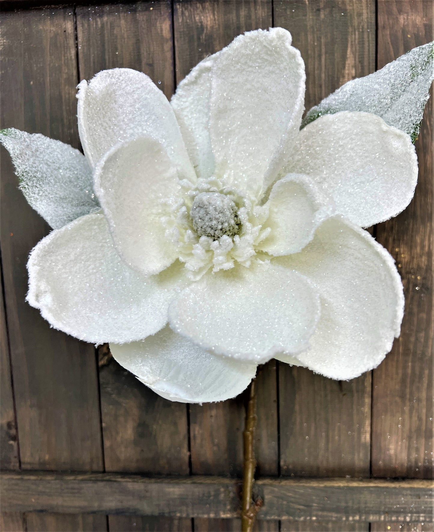 Frosted Magnolia Stem, 29" Frosted Magnolia, XL Magnolia Stem, Winter Magnolia Stem, Wedding Magnolia Stem, Frosted Floral Stem