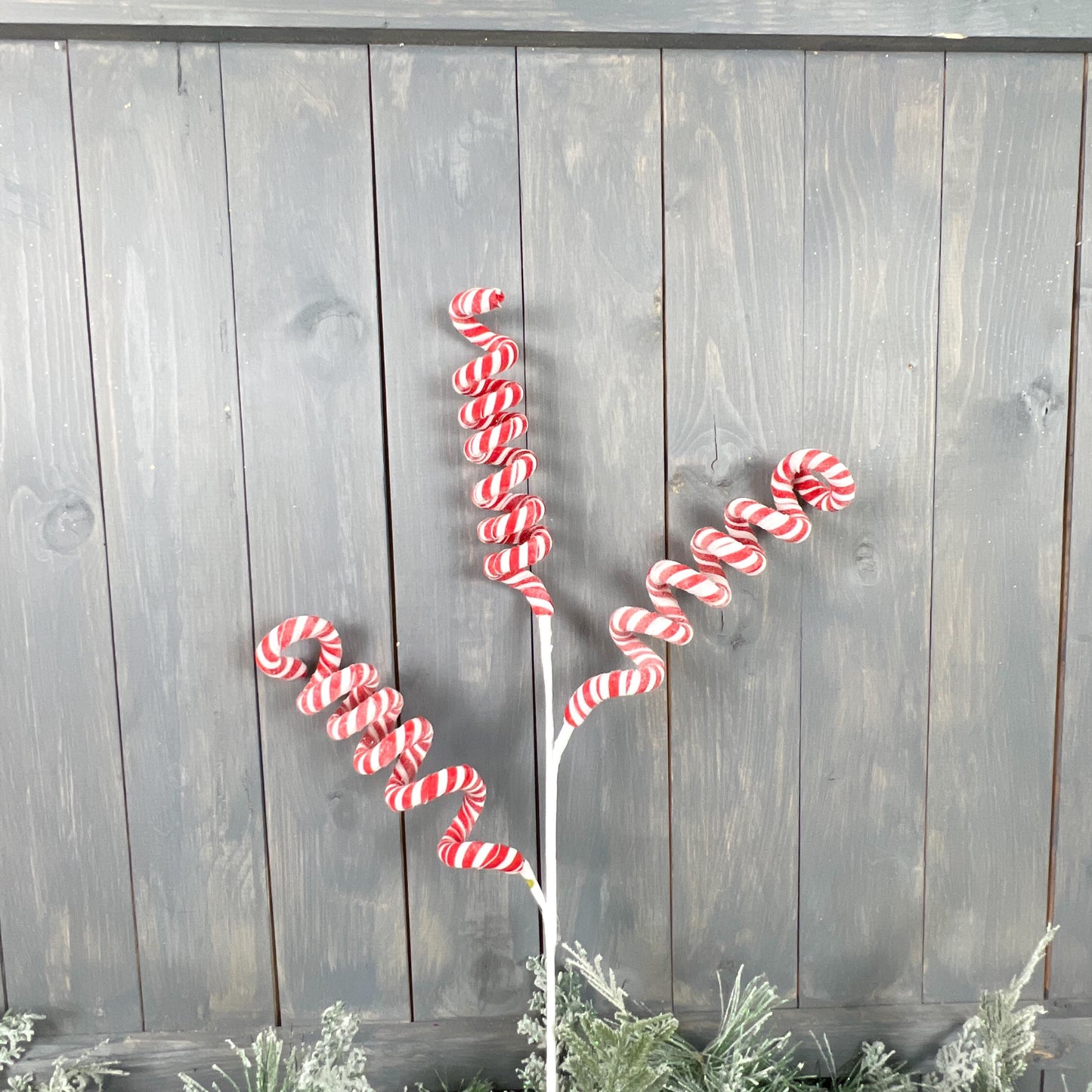25" Swirl Candy Cane Spray, Peppermint Curly Spray, Peppermint Swirl Floral Stem, Candy Cane Floral Spray, Christmas Floral Stem,