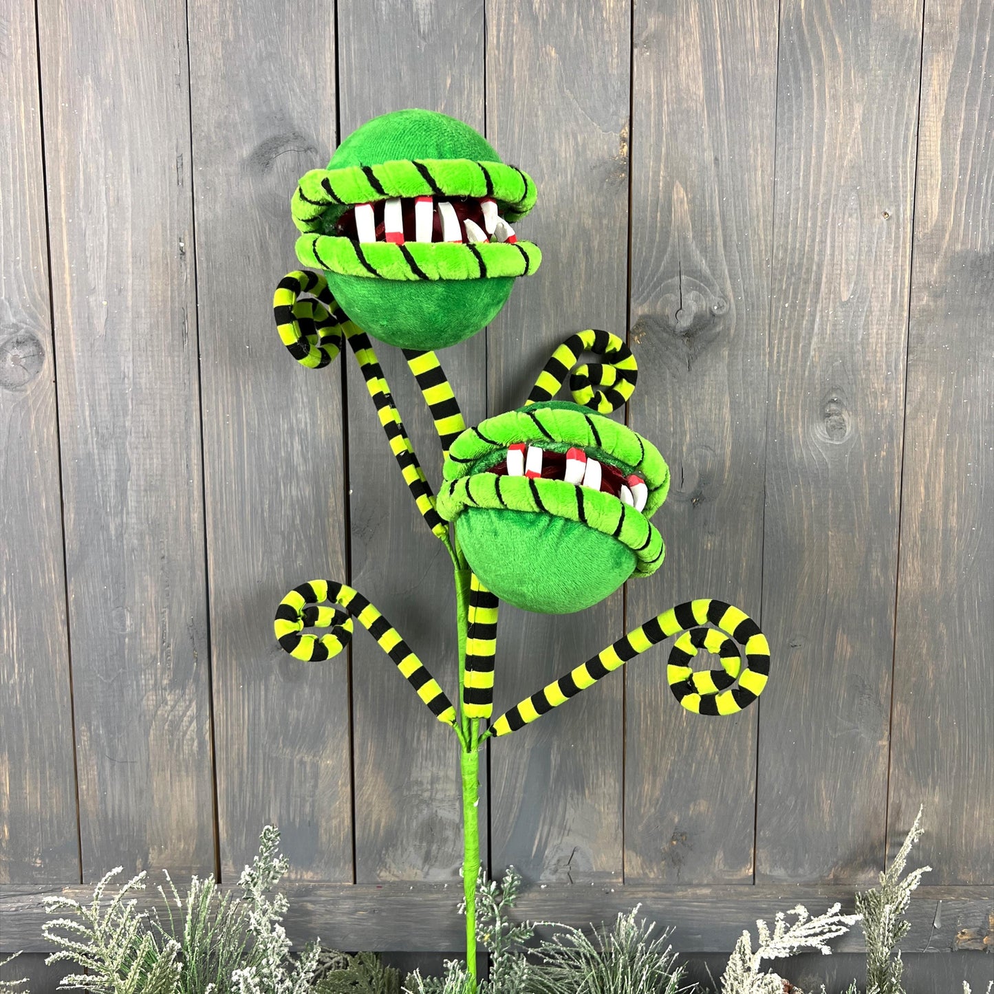 Man-Eating Plant Curly Spray, Carnivorous Plant Curly Spray, Monster Plant,  Halloween houseplant, Horror Prop, Halloween Party Decor
