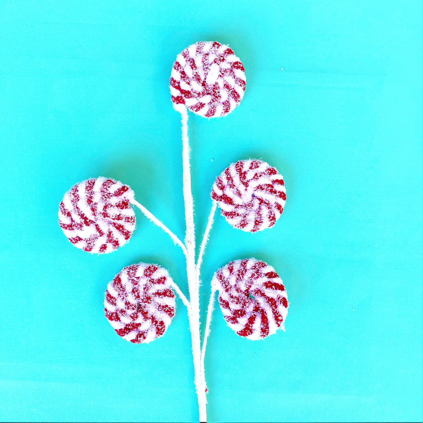A white floral stem with 5 frosted peppermint disks lies against a teal background.