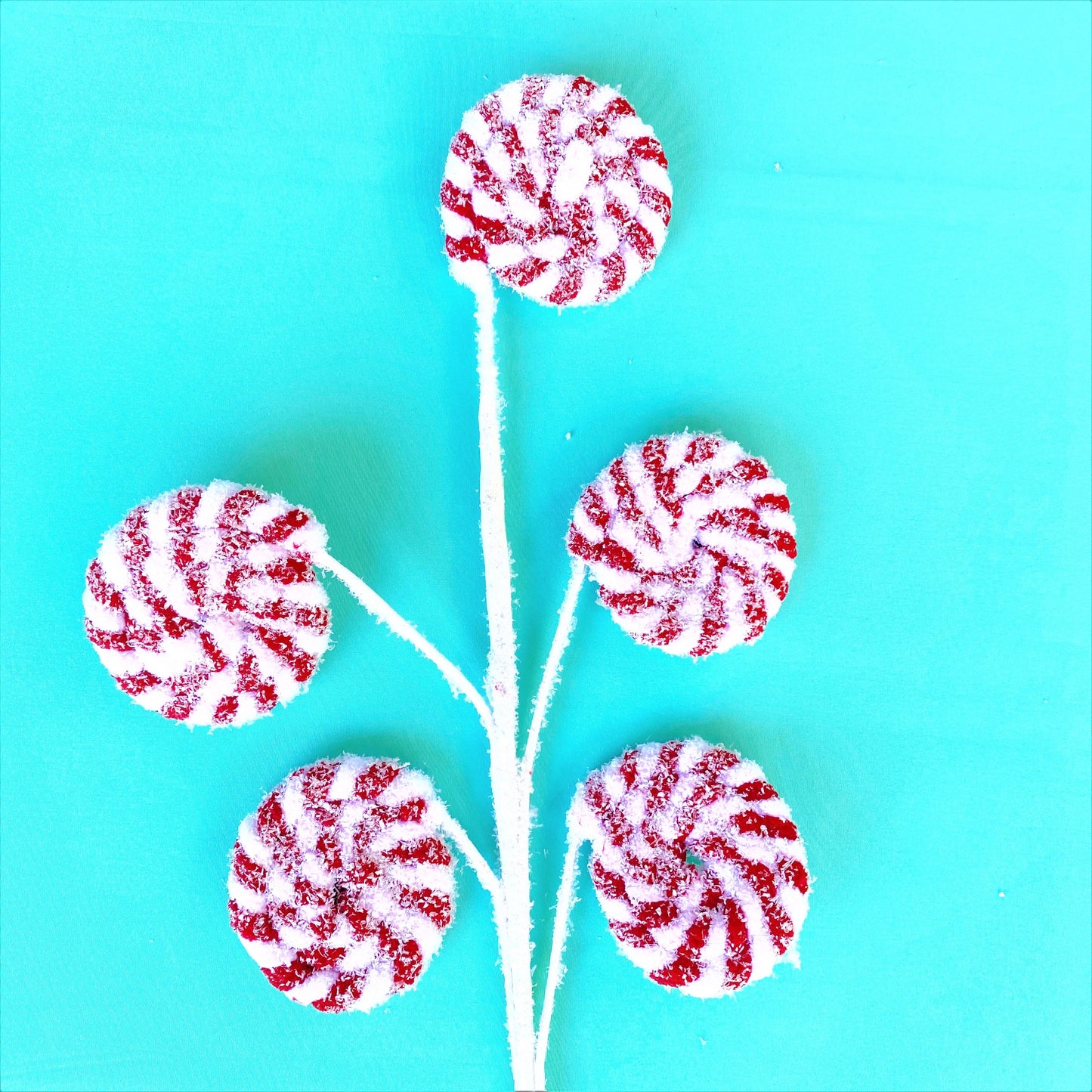 A white floral stem with 5 frosted peppermint disks lies against a teal background.
