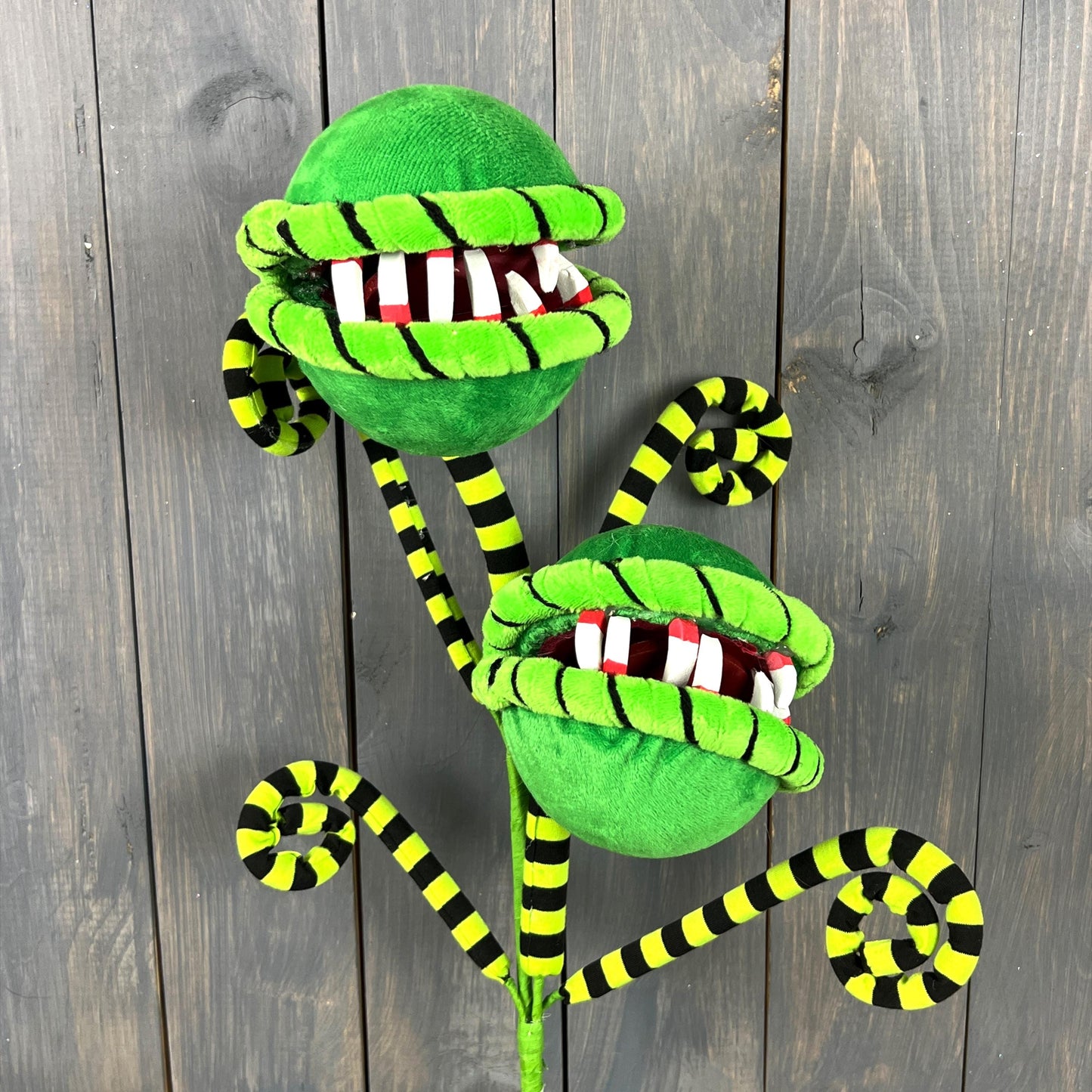 Man-Eating Plant Curly Spray, Carnivorous Plant Curly Spray, Monster Plant,  Halloween houseplant, Horror Prop, Halloween Party Decor