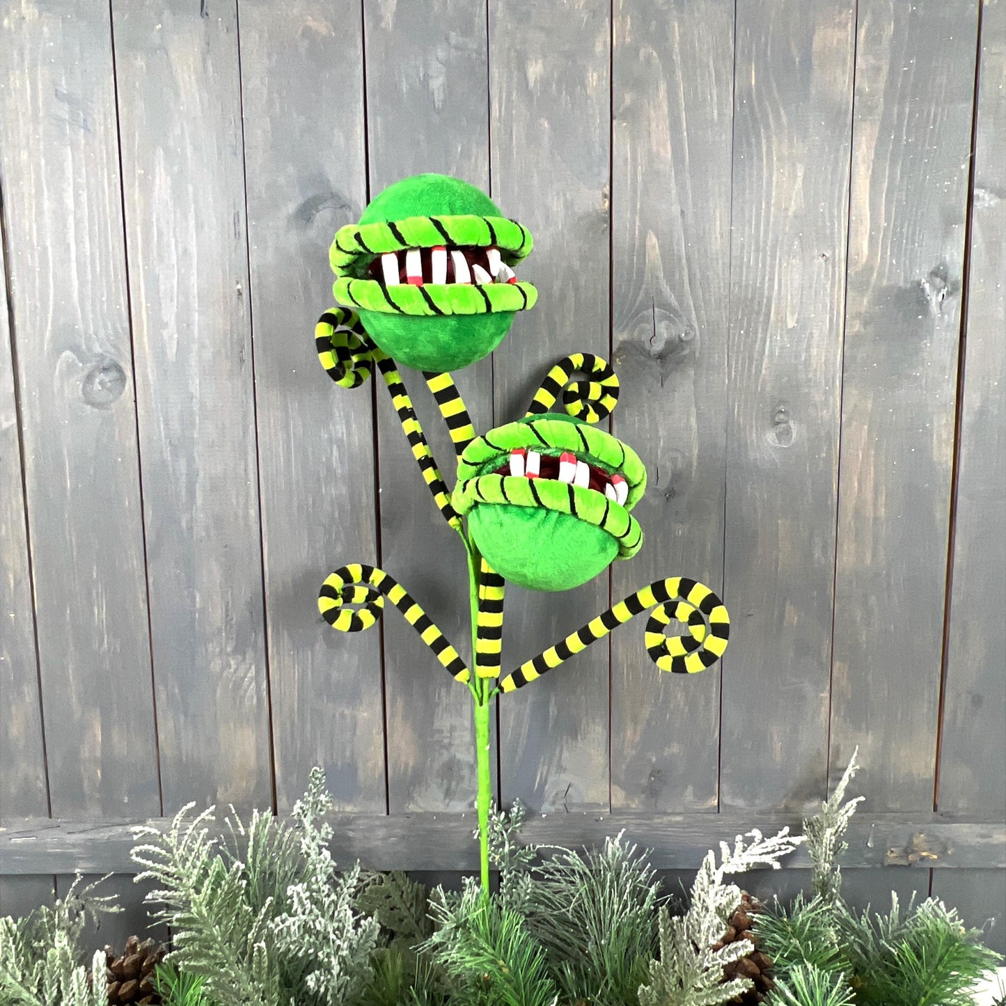 Man-Eating Plant Curly Spray, Carnivorous Plant Curly Spray, Monster Plant,  Halloween houseplant, Horror Prop, Halloween Party Decor